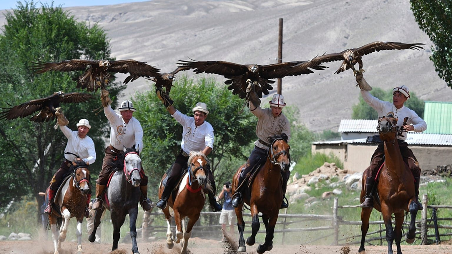 Eagle Hunting Demonstration